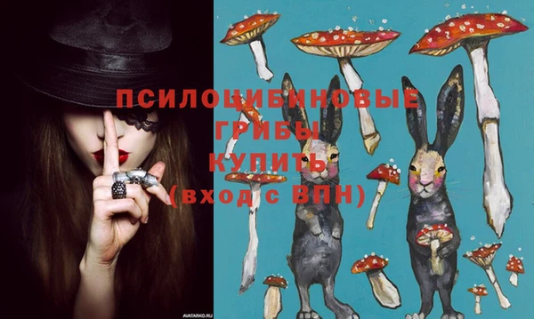 mdpv Володарск