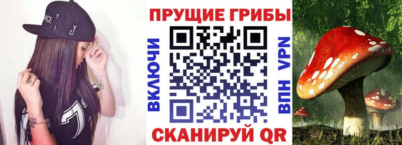 Галлюциногенные грибы мухоморы  сайты даркнета какой сайт  Красногорск 