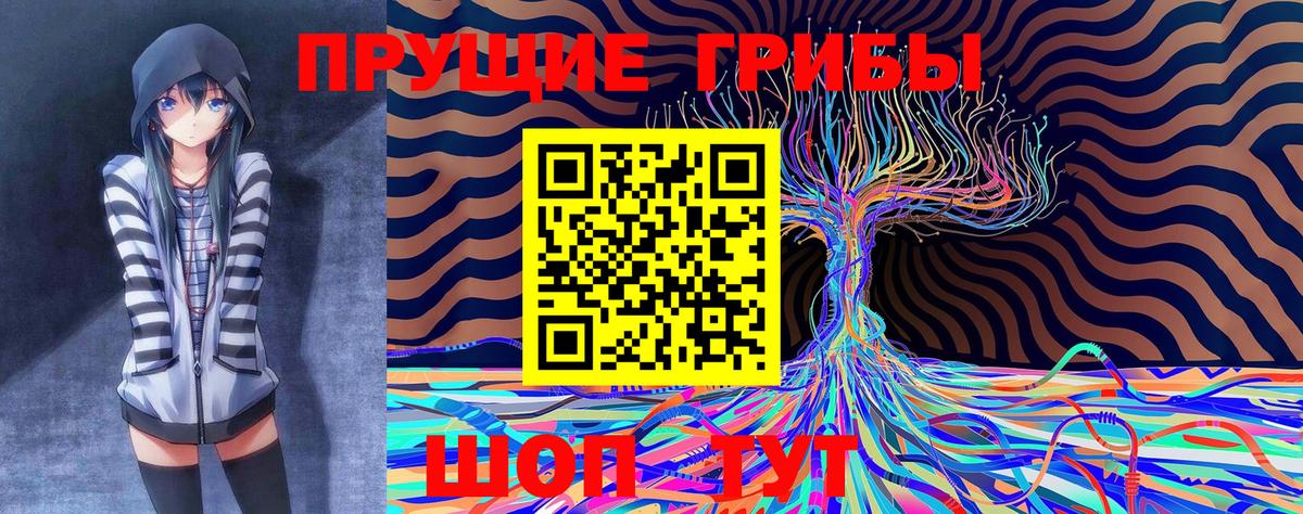 цены   Галлюциногенные грибы MAGIC MUSHROOMS  Вход с VPN  Красногорск 