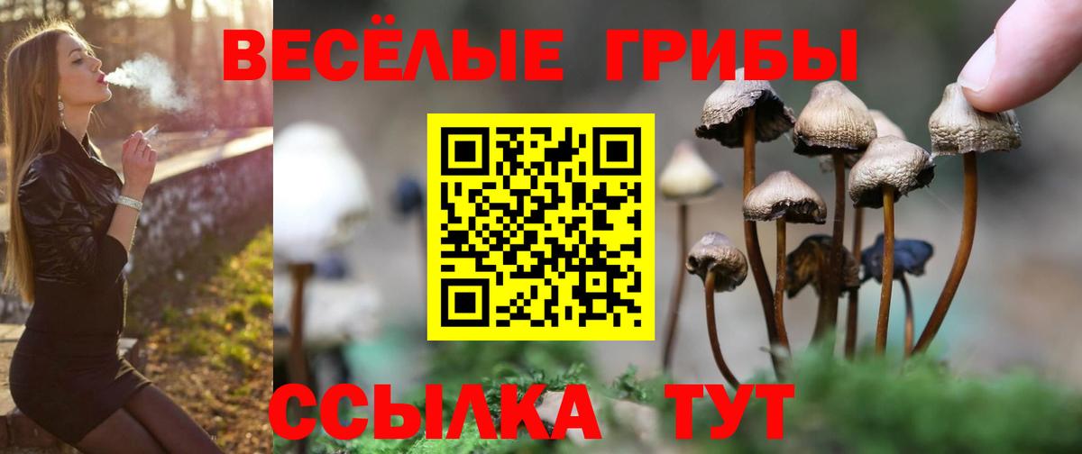 Галлюциногенные грибы прущие грибы Красногорск